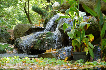Little waterfall and pond in garden, purity, calm and harmony