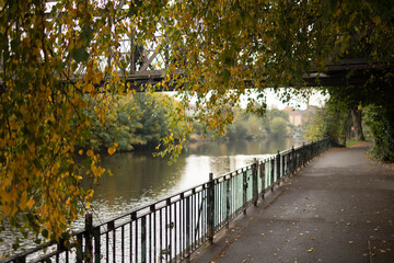 autumn  riverside scene in Shrewsbury along The River Severn