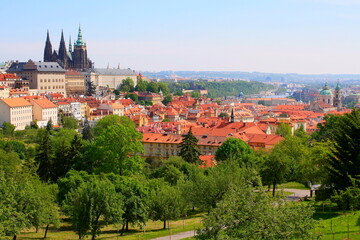 Fototapeta premium Prague medieval old town towers and domes, Czech Republic