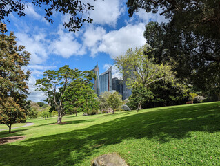 A view across a wide expanse of lawn towards some city buildings from the Botanical Gardens in Sydney Australia.