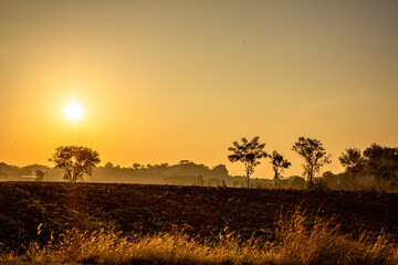 panoramic background of high mountain scenery, overlooking the atmosphere of the sea, trees and wind blowing in a cool blur, spontaneous beauty