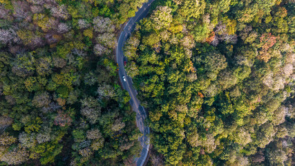 Aerial view over winding forest asphalt road, Road and green mountains in summer, Landscape with car on the roadway, trees in summer, Aerial View of a road on forest.