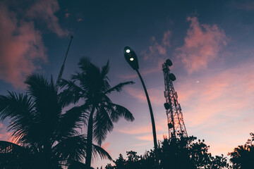 An atmospheric lilac cloudy sunset in a tropical setting with a selective focus on the streetlight; a stunning purple sky, silhouettes of palm trees, a transmission tower, and a tall scaffolding