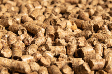 Wooden filler for domestic cats toilet with, close-up.