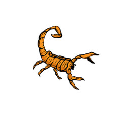 Scorpion animal icon logo design