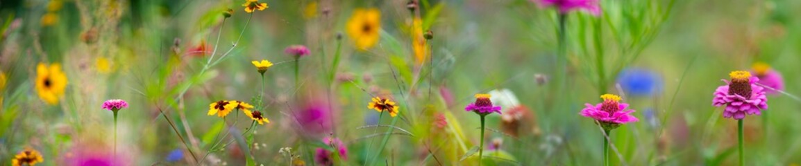 beautiful meadow flowers with nice bokeh - soft focus art floral background