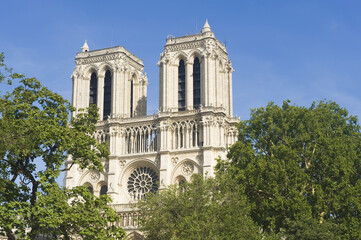 Fototapeta na wymiar Our Lady of Paris Cathedral, Paris, France