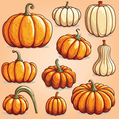 Pumpkins, Pumpkins Lumina, Butternut Squash Isolated in Set of Vector is best use for Halloween
