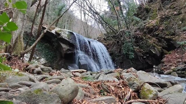 Waterfall in a forest on the mountains, low-angle shot with rocks on the riverbank in the foreground, real time.