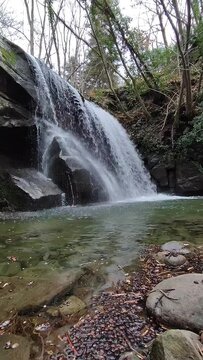 Waterfall in the forest on the mountains. Vertical, real time.