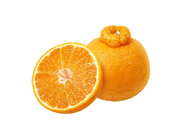 デコポンのイラスト リアル