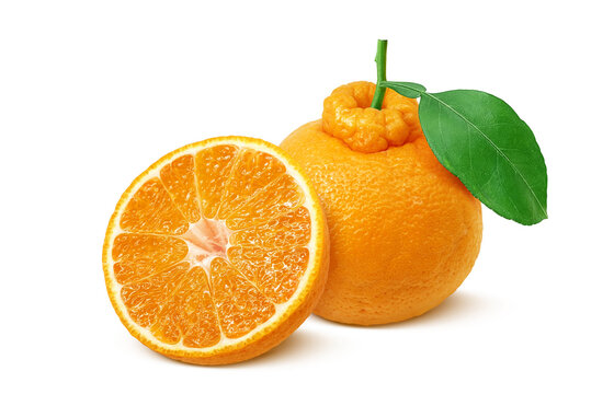 デコポン Images – Browse 1,411 Stock Photos, Vectors, and Video