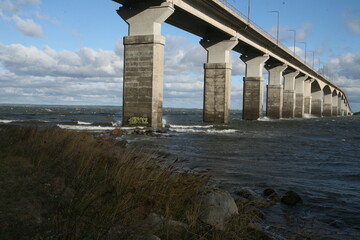 bridge over the river