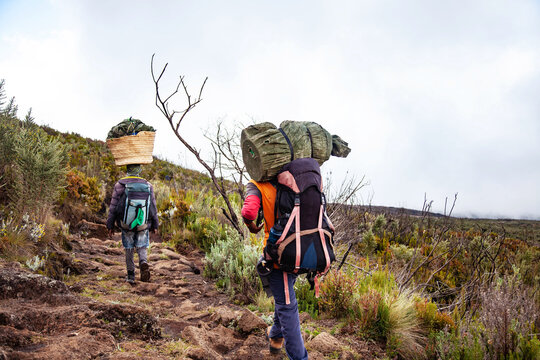 Porters Carrying Heavy Load On His Back Walks Along The Road.