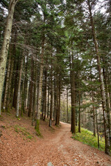 Appennini tosco-emiliani, città metropolitana di Bologna, Emilia Romagna