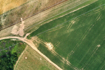 Aerial landscape view of green and yellow cultivated agricultural fields with growing crops on...