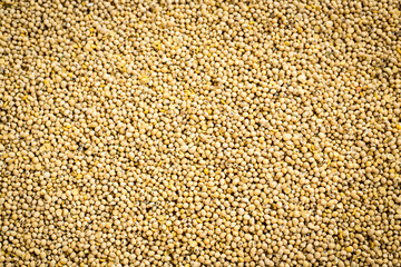 Soya beans background