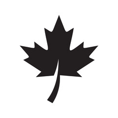 maple leaf logo symbol
