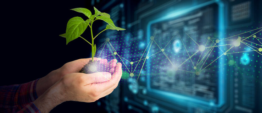 Agricultural technologies for growing plants and scientific research in the field of biology and chemistry of nature. Living green sprout in the hands of a farmer. Organic digital background