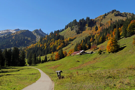 Herbst im Obertal bei Hinterstein mit Blick zur Laufbichlalpe (1200m).
