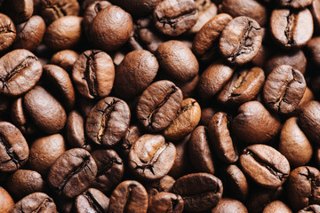 Coffee seeds pattern Black morning coffee beans texture. Artistic light studio background. Cafe drinking backdrop. Closeup roasted espresso drink. Breakfast energy background.