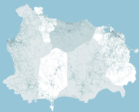 Satellite view of the island of Ischia, vector. Buildings and houses, streets. Campania. Italy. Earthquakes and tectonic movements. Problems with structures and buildings
