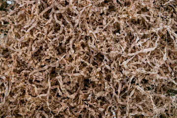 Sawdust Texture Wood chips. Wood sawdust. 