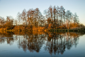 Reflection of autumn trees in the water. Autumn landscape. Autumn by the river.