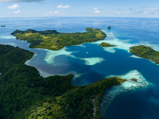 Extensive coral reefs fringe rainforest-covered islands in the Solomon Islands. This beautiful...