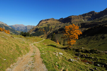 Ahornboden im Obertal bei Hinterstein mit Blick zum Giebel (1948m).