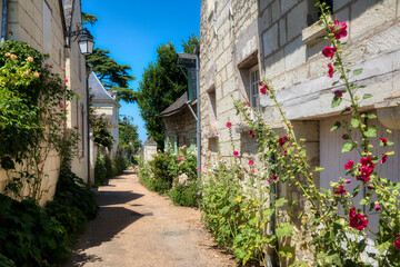 Fototapeta na wymiar Lush Lane in the Village of Candes-Saint-Martin in the Loire Valley, France