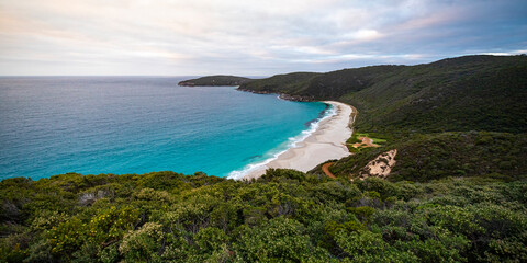 a panorama of the famous shelly beach in west cape howe national park, a unique beach near albany,...