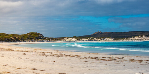 panorama of lucky bay in cape le grand national park at sunset; the famous kangaroo beach in western australia near esperance	
