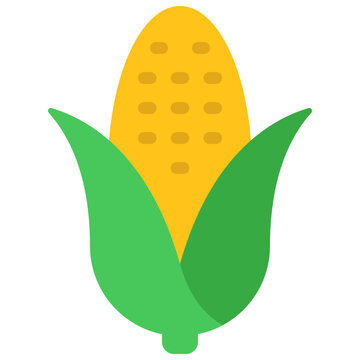 Corn Cob Icon