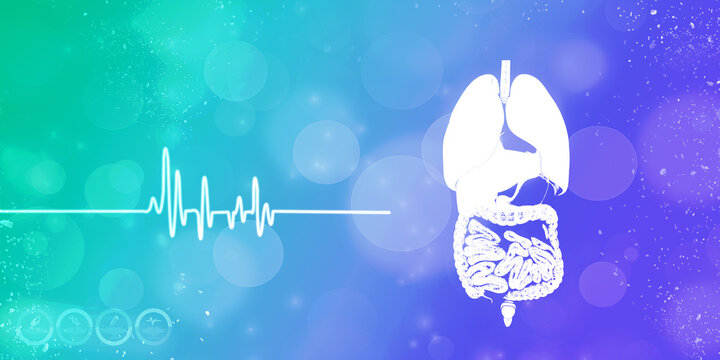 

2d illustration human digestive system