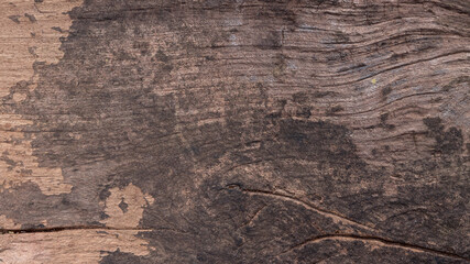 Wood texture background surface with old natural pattern. wooden  board texture.