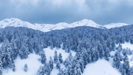 雪山の風景　ドローン　空撮