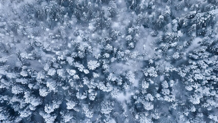雪山の風景　ドローン　空撮