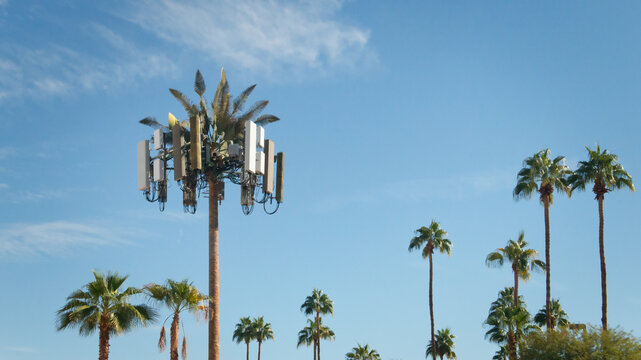 Cell Tower Disguised as a Palm Tree amongst real palm trees, Indian Wells, California, USA