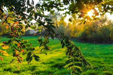 Beautiful orange golden sunset behind fields meadows forests Germany.