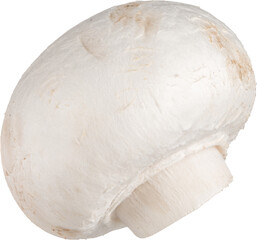 Whole champignon mushroom isolated on white background without shadow - 560489586