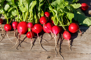 Fresh red radish with leaves on rustic wooden table. Top view