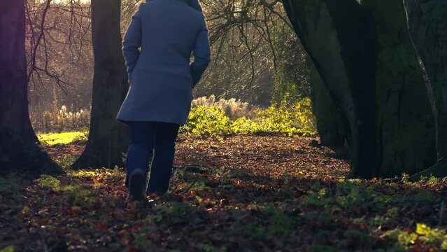 Woman walking in Autumn parkland scene 
