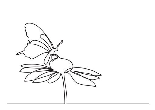 continuous line drawing butterfly on flower - PNG image with transparent background
