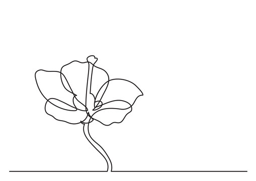 continuous line drawing flower - PNG image with transparent background