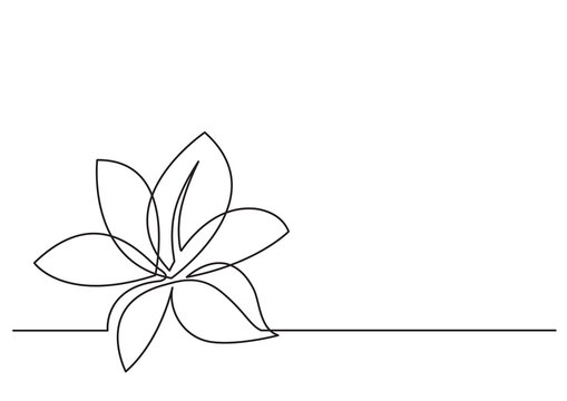 continuous line drawing flower 3 - PNG image with transparent background