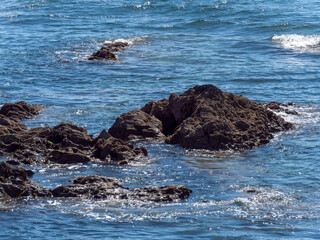 Naklejka premium Rocks surrounded by sea. An oceanic reef. Seascape with rocks.
