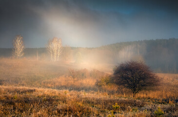 Piękne Barwne Pola w Światłach  - 560494974