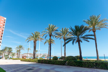Obraz na płótnie Canvas cullera playa valencia