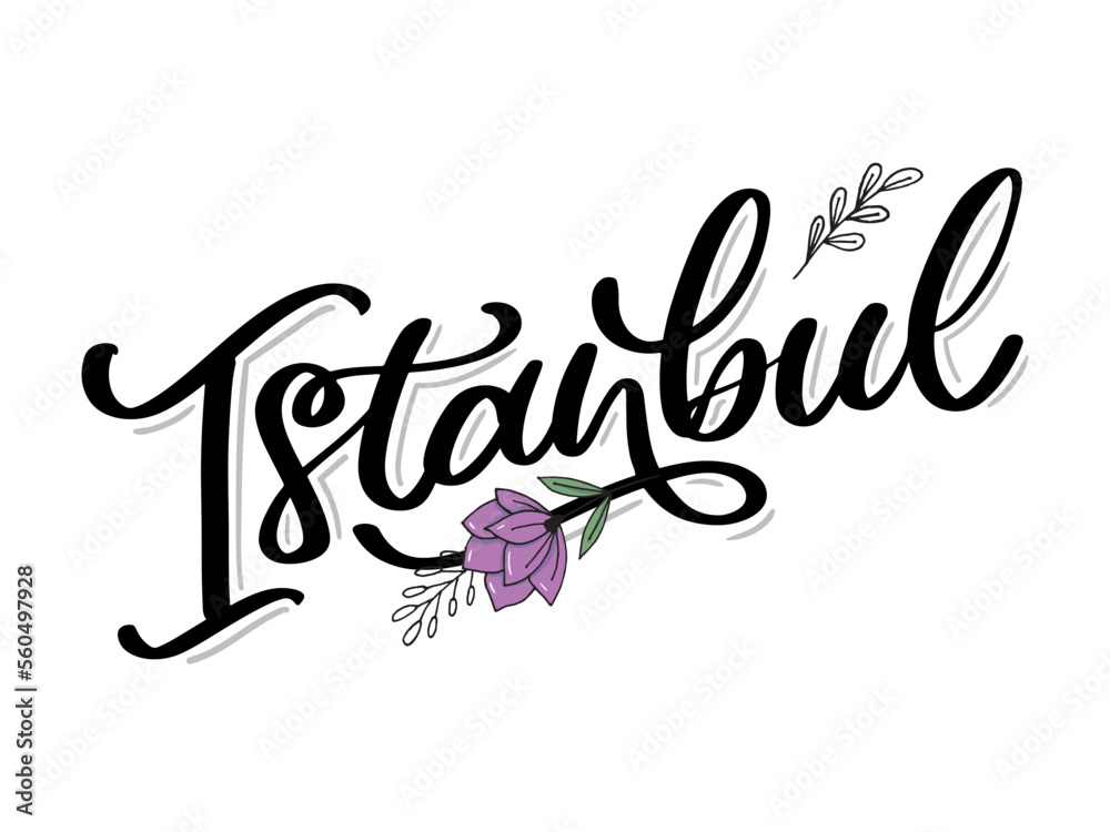 Poster Istanbul. Hand lettering. Vector logo of Istanbul in black color with seagulls on white background. souvenir products, banner emblem, travel blog social media, brochure, flyer. Digital illustration.